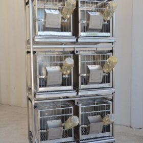 Gabbie per conigli in rack da 6 su ruote